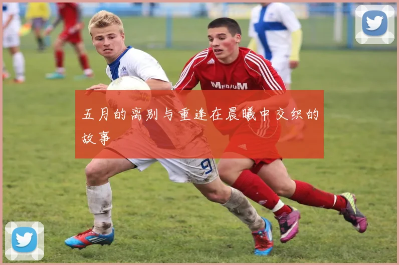 五月的离别与重逢在晨曦中交织的故事