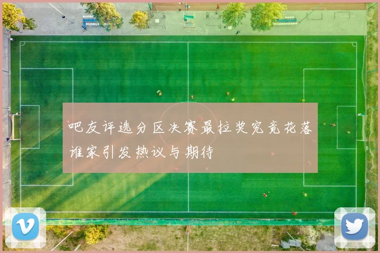 吧友评选分区决赛最拉奖究竟花落谁家引发热议与期待
